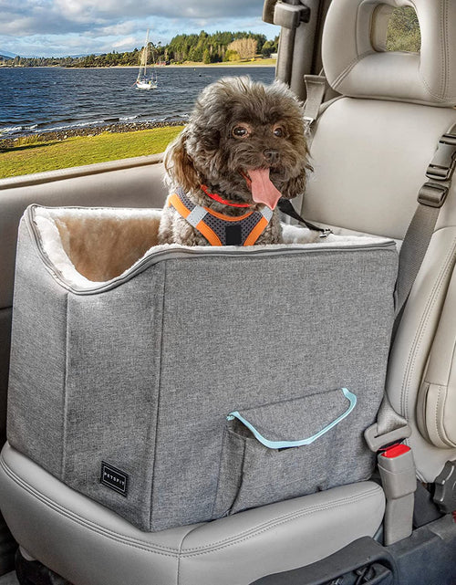 Load image into Gallery viewer, Small Dog Car Seat, Pet Travel Car Booster Seat with Safety Belt, Washable Double-Sided Cushion and Storage Pocket for Small Pet (Small, Light Grey)

